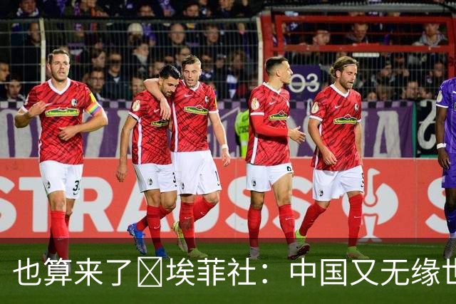 也算来了😅埃菲社：中国又无缘世界杯，但中国企业深度参与其中